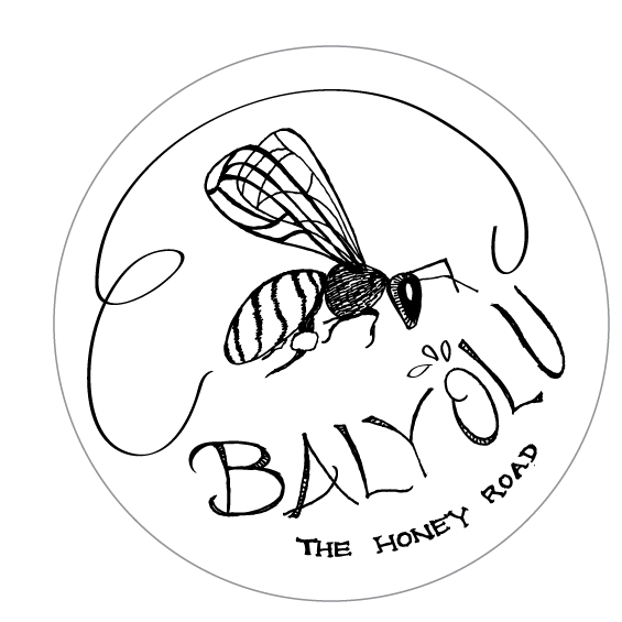 Balyolu Logo Design - image 1 - student project