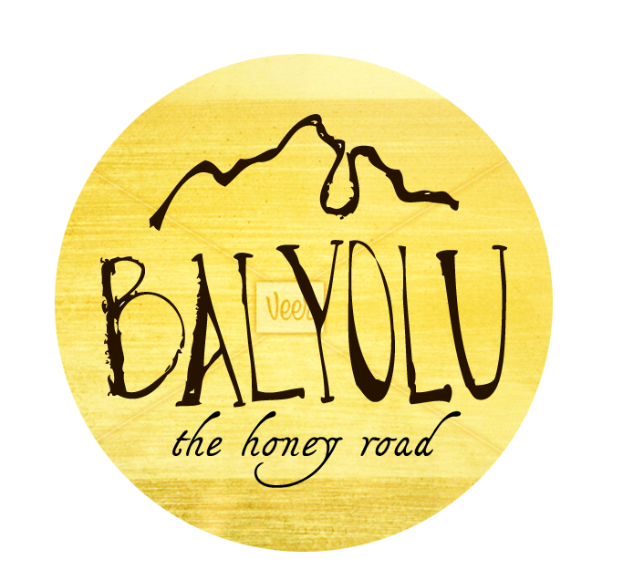 Balyolu Logo Design - image 2 - student project