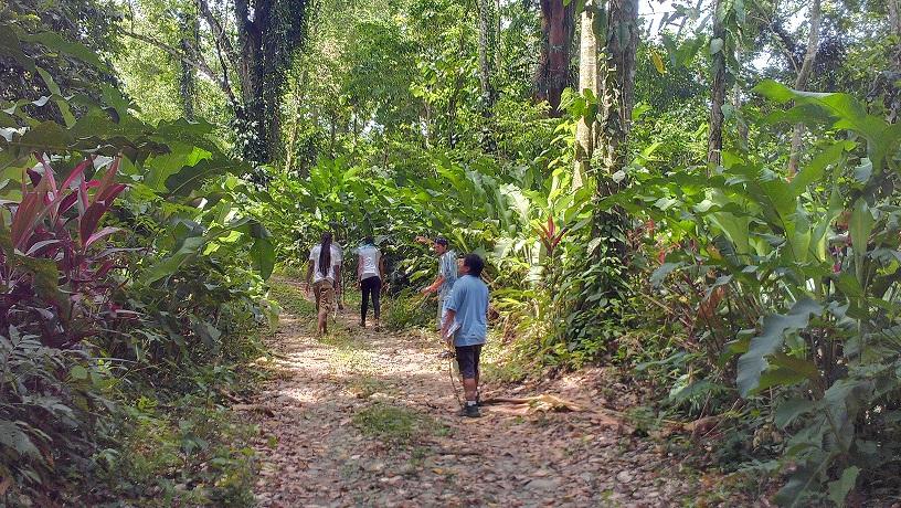 Duende Natural Tent Camp, Site Map & Town of Cahuita, Costa Rica - image 2 - student project