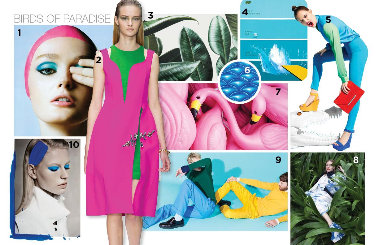 Birds of Paradise - image 2 - student project