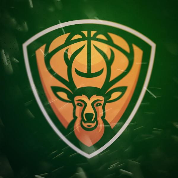 Bucks, Dinosaur, Vikings, Tiger Logos - image 9 - student project