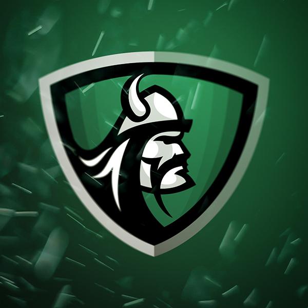 Bucks, Dinosaur, Vikings, Tiger Logos - image 13 - student project