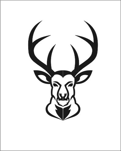 Bucks, Dinosaur, Vikings, Tiger Logos - image 5 - student project