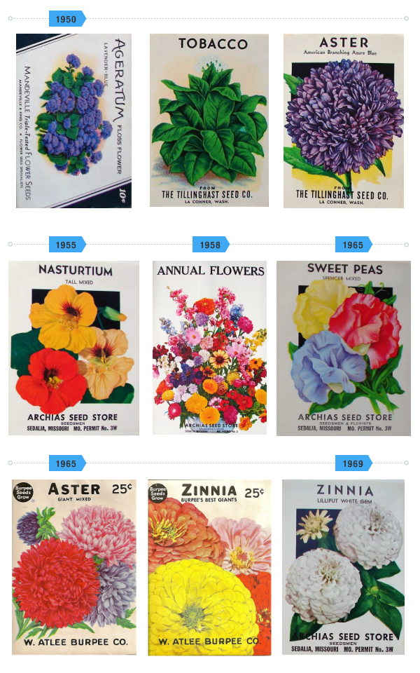 Linda Street Garden - image 12 - student project