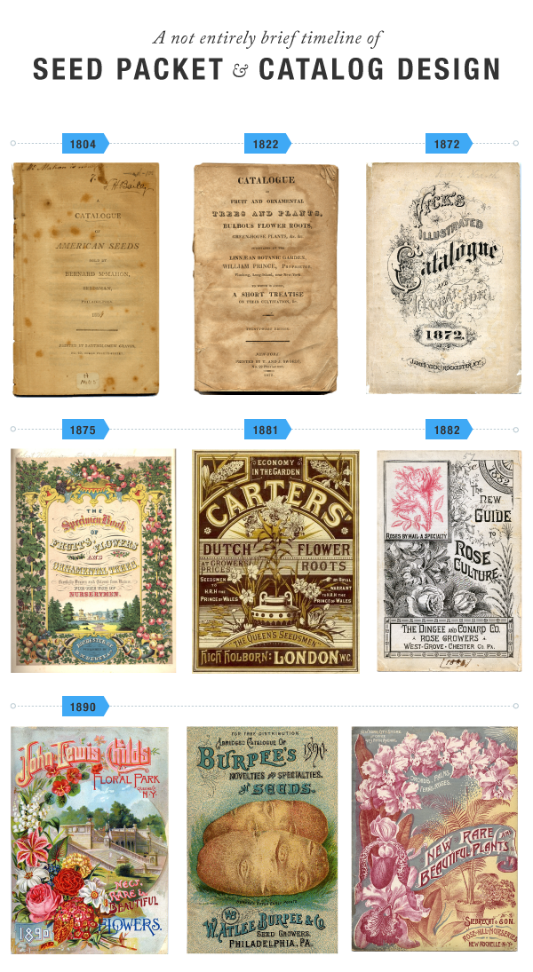 Linda Street Garden - image 7 - student project