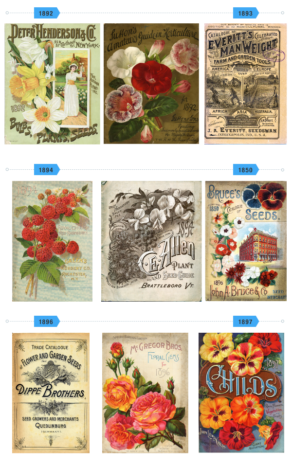 Linda Street Garden - image 8 - student project