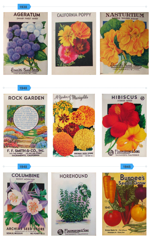 Linda Street Garden - image 11 - student project