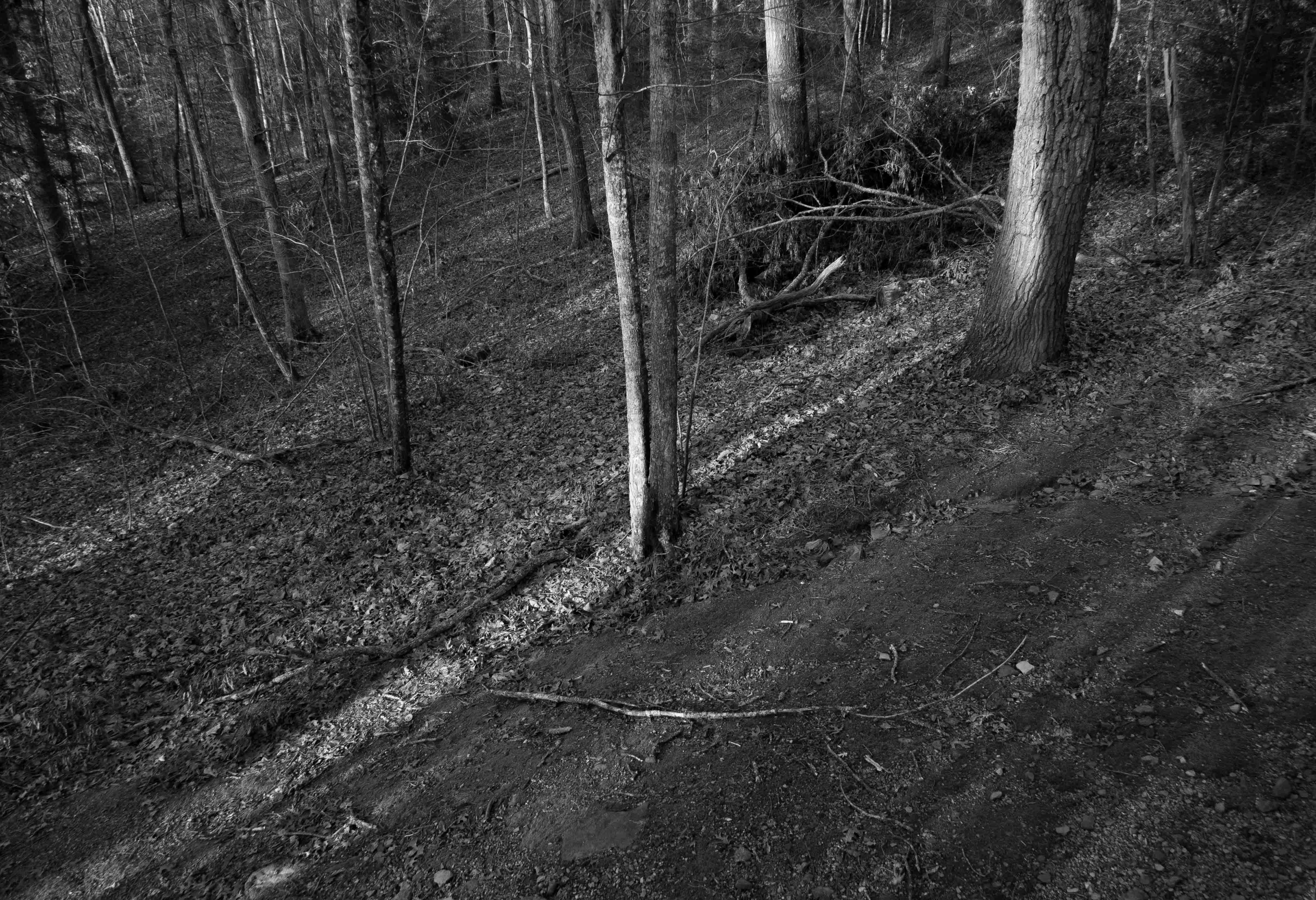Week 2: Line obsession - image 3 - student project