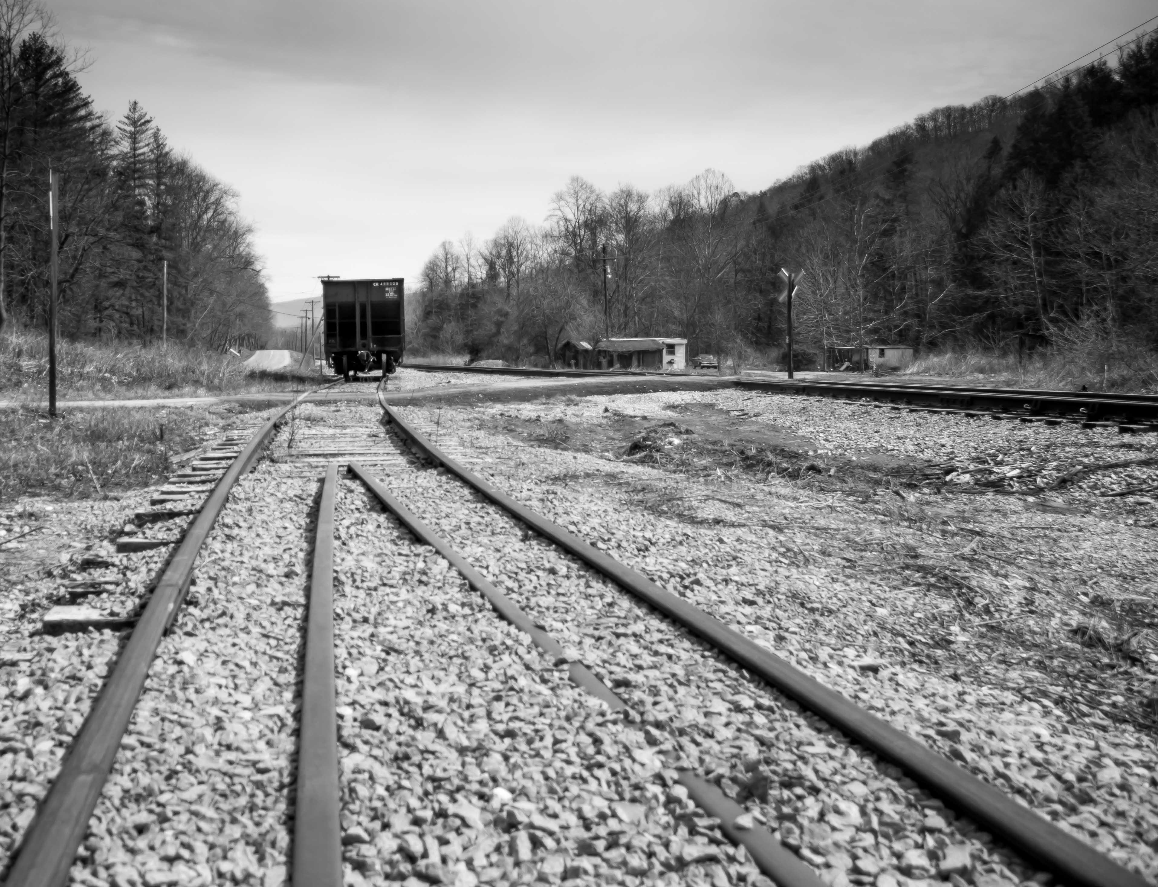 Week 2: Line obsession - image 1 - student project