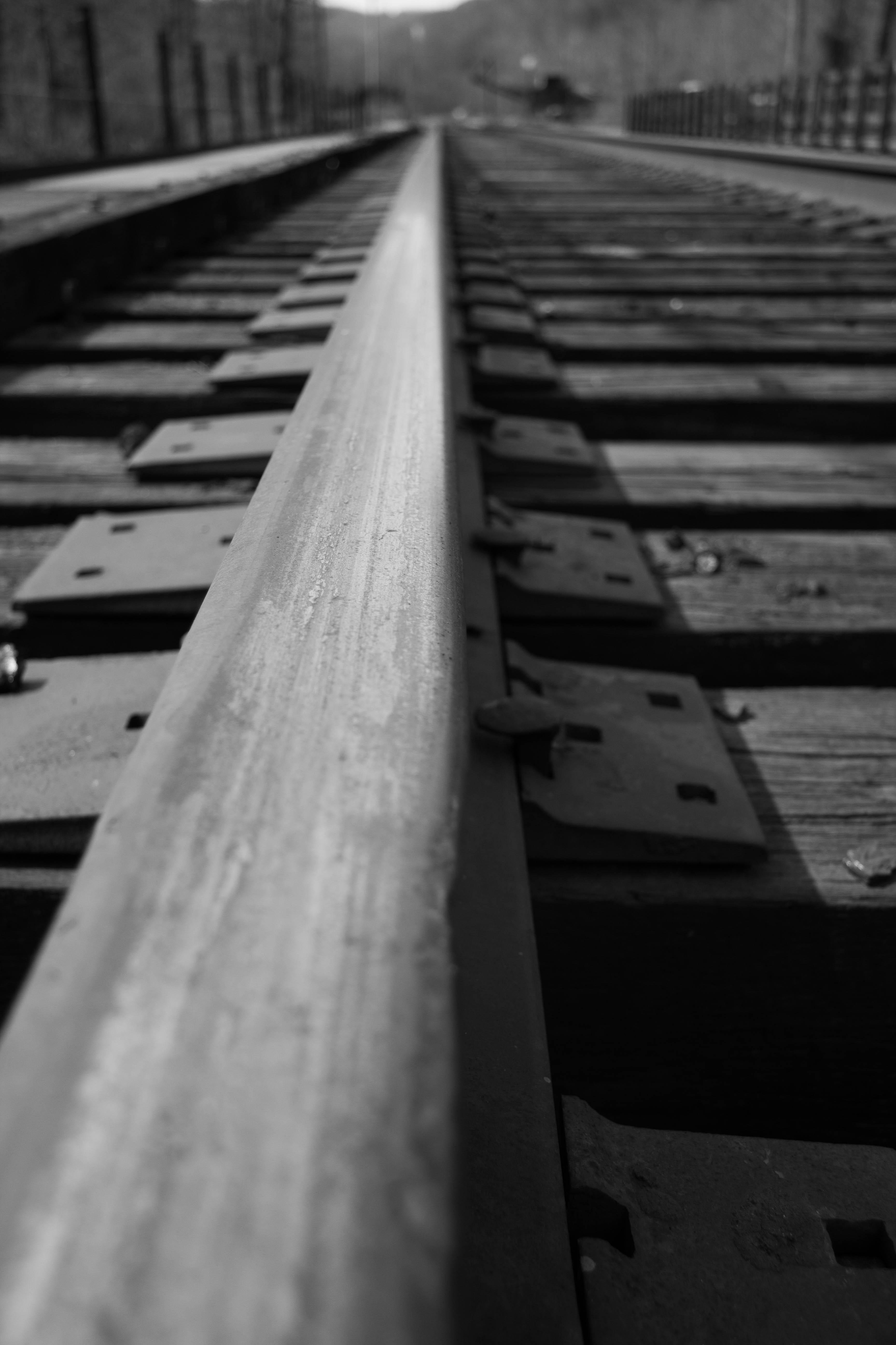 Week 2: Line obsession - image 2 - student project