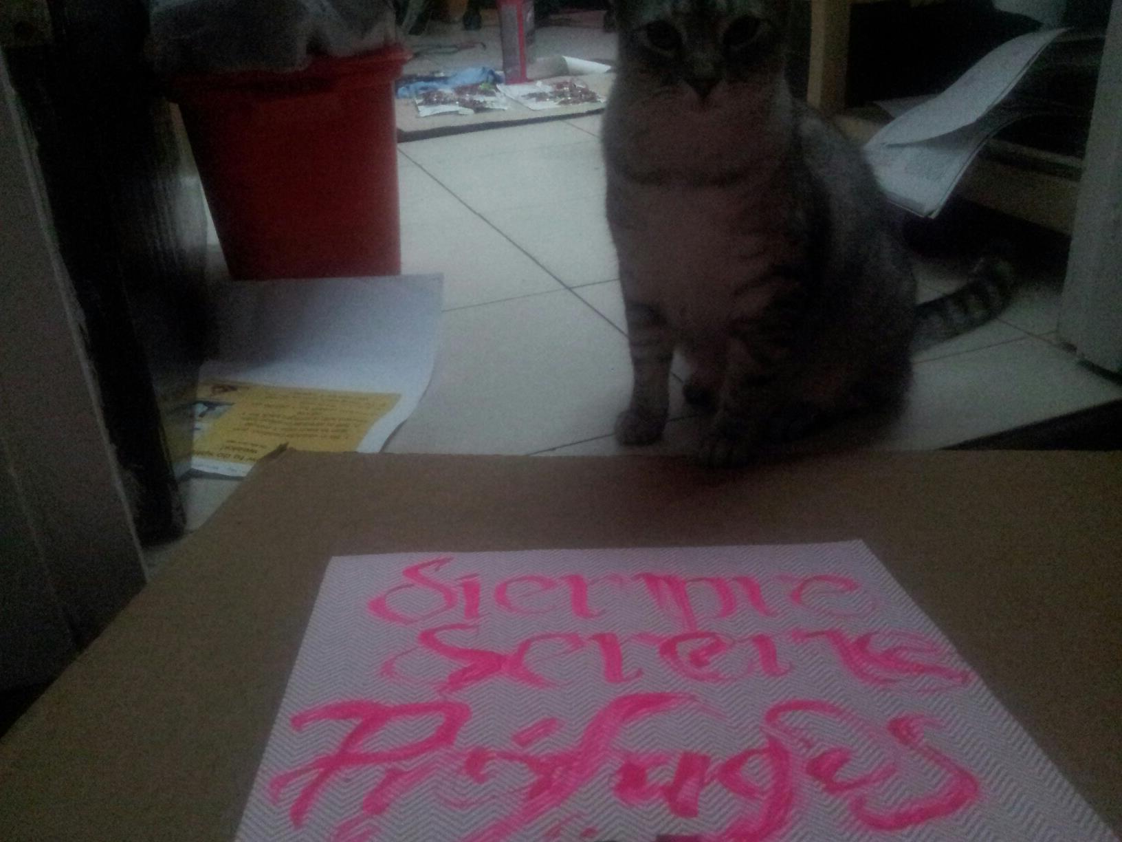 Siempre seremos prófugos. - image 1 - student project