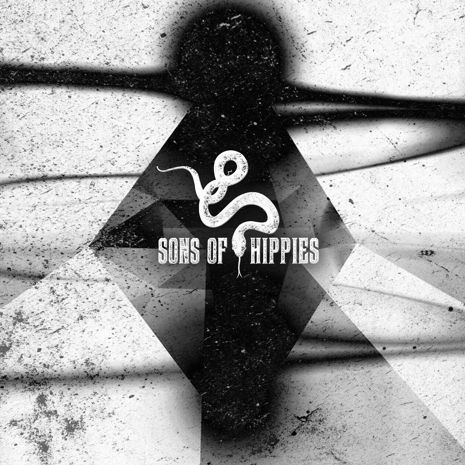 Sons of Hippies - image 1 - student project