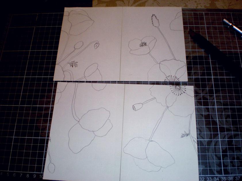Poppies - image 3 - student project
