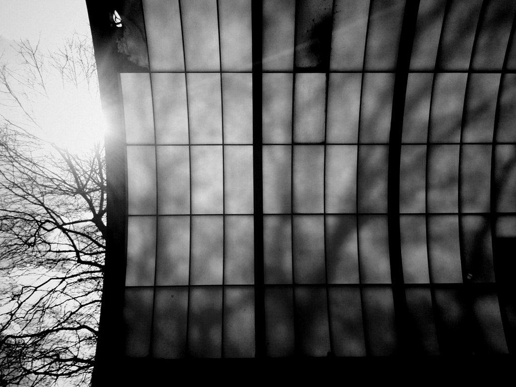 Crash Course Composition - image 3 - student project