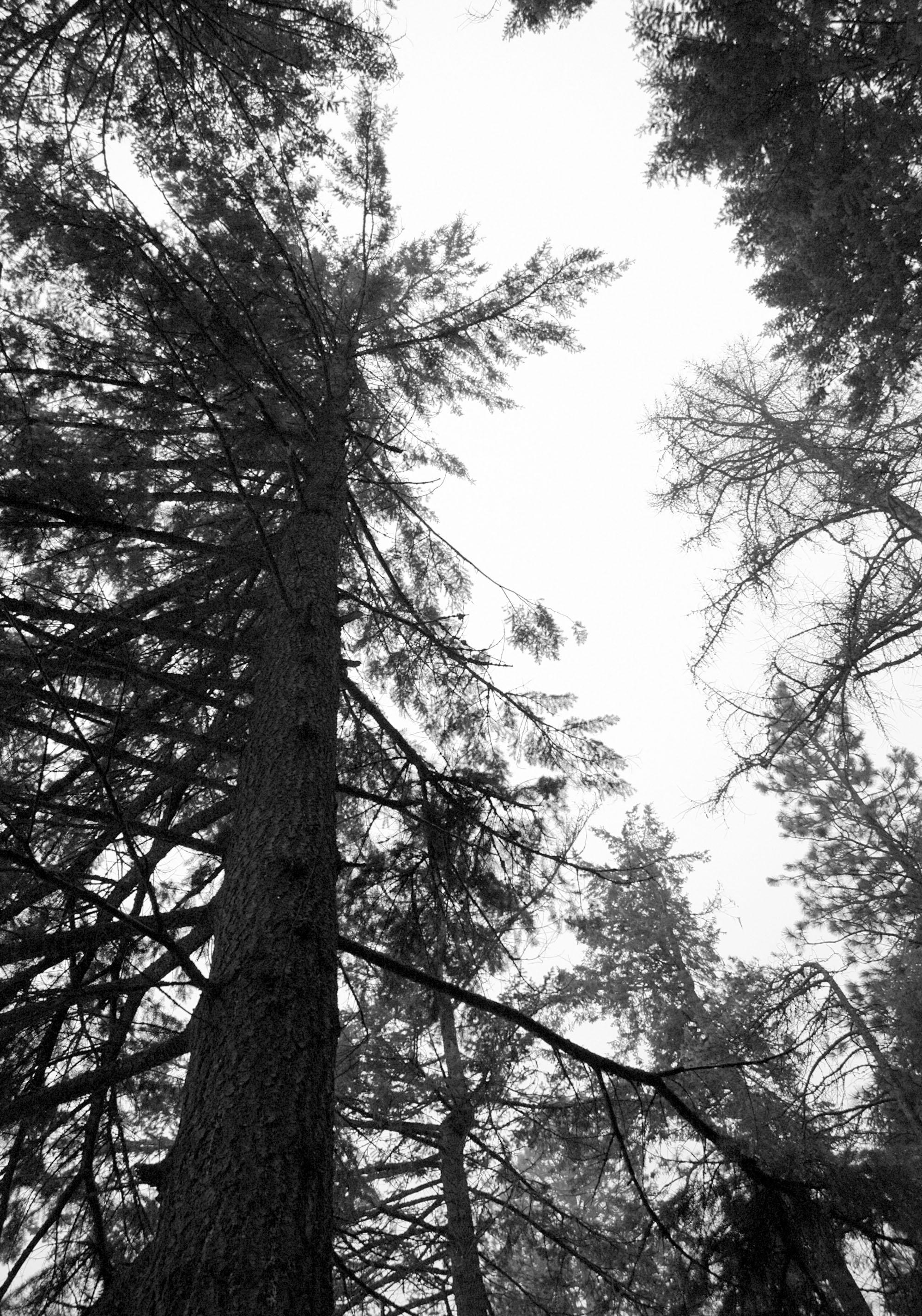 Crash Course Composition - image 18 - student project