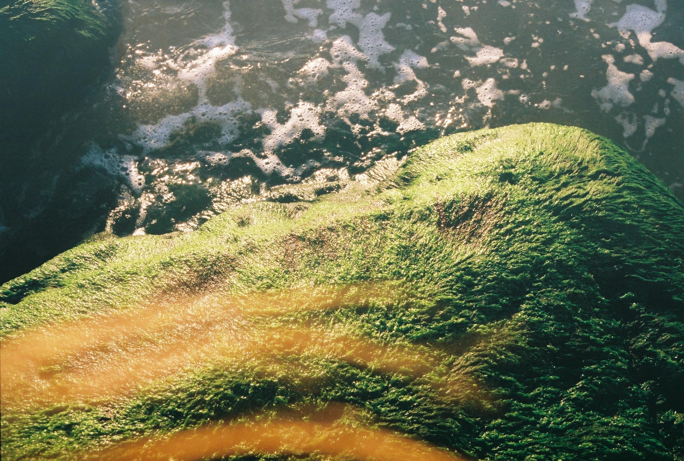 PismoLand - image 3 - student project