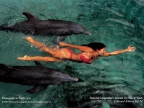Dyanna Quizon - Complete an Olympic Distance Triathlon!