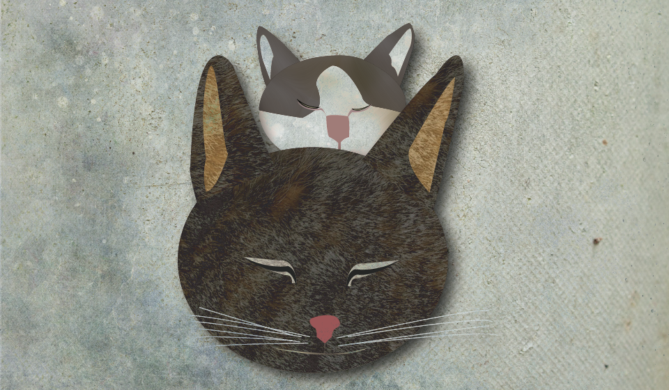 Poes & Truus - image 1 - student project