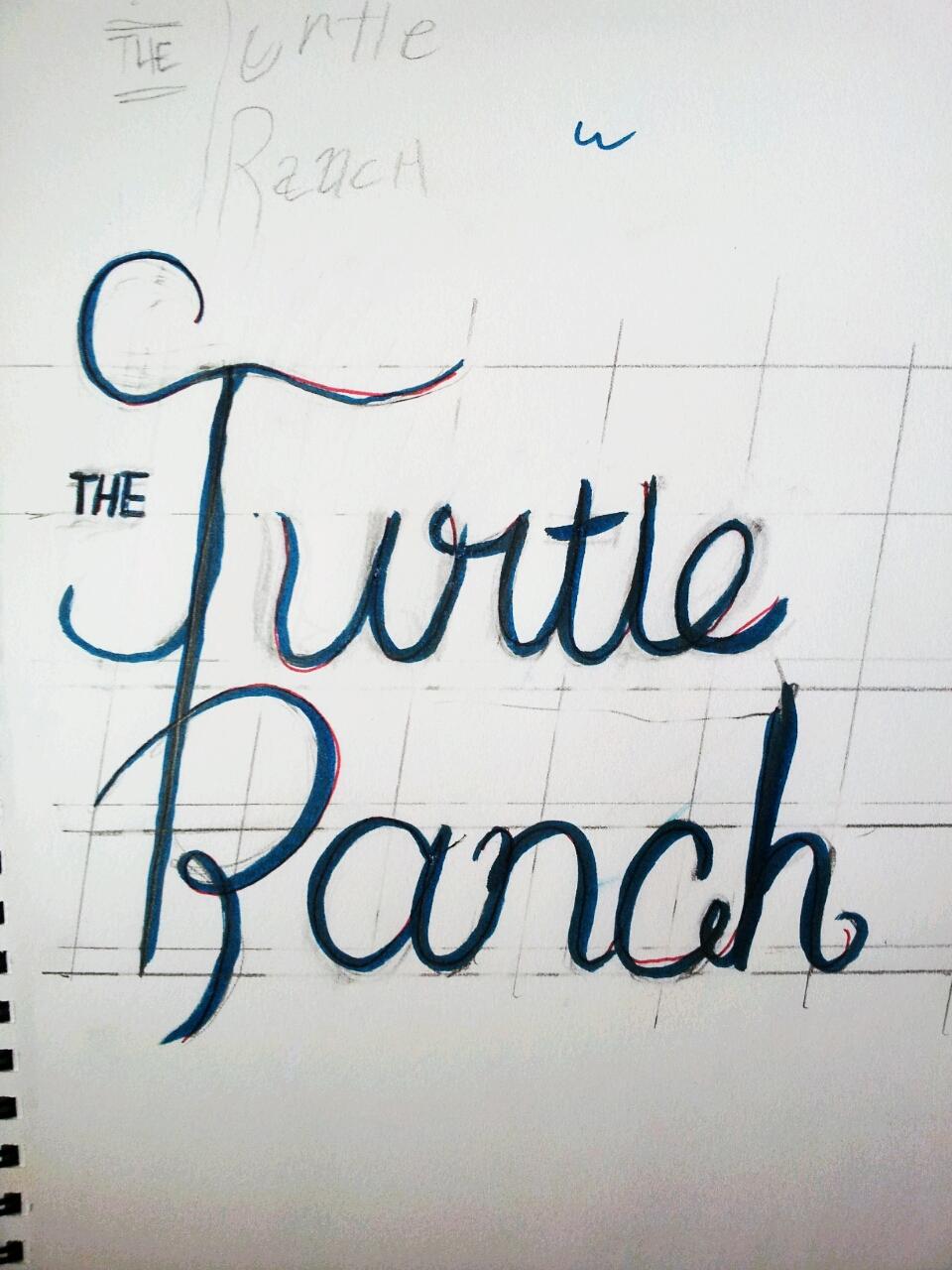 The Turtle Ranch - image 2 - student project