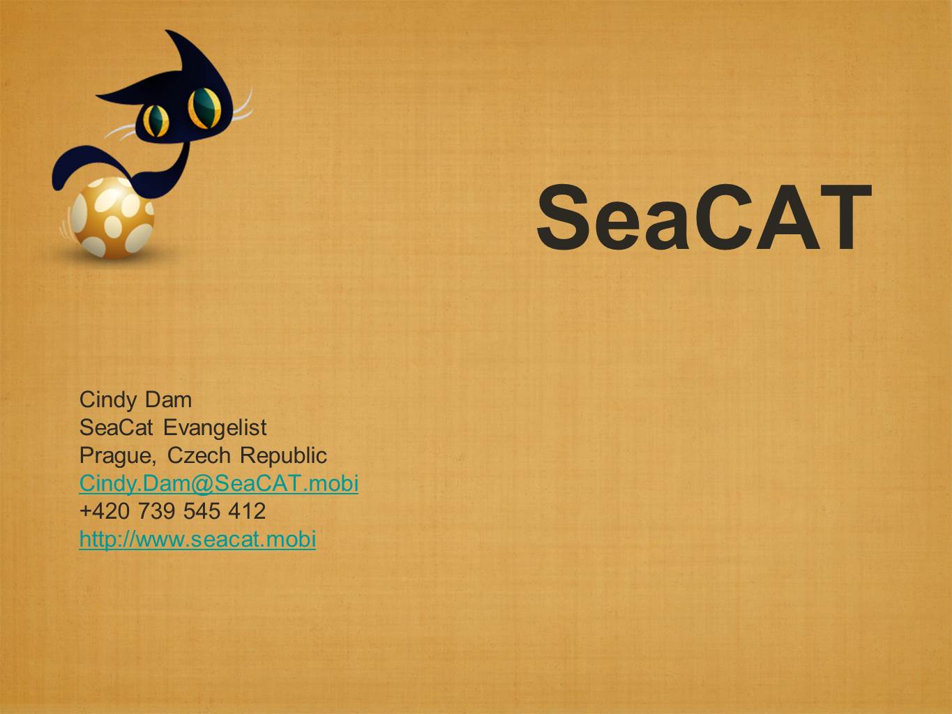 SeaCat - The Cats That Secure Your Mobile Solutions - image 1 - student project