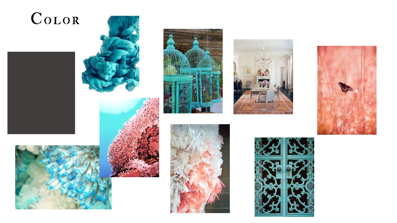 Anthropologie - image 2 - student project