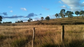 Tracey Gobey - Paddocks of Kurrajong: A patchwork of an Australian farm