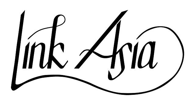 Link Asia - image 2 - student project