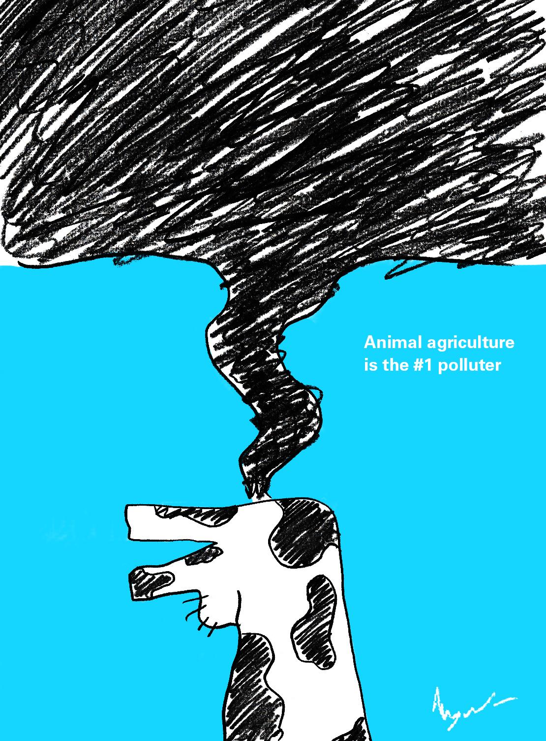 Animal Agriculture - image 6 - student project