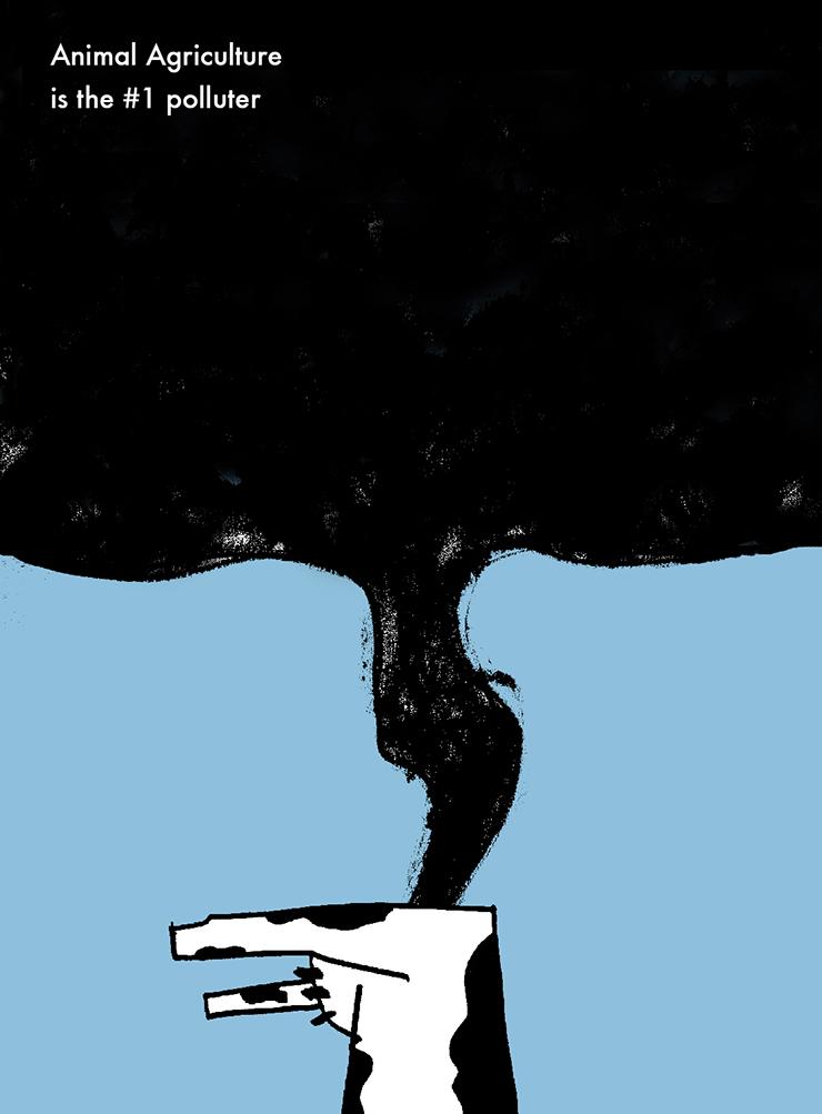 Animal Agriculture - image 3 - student project