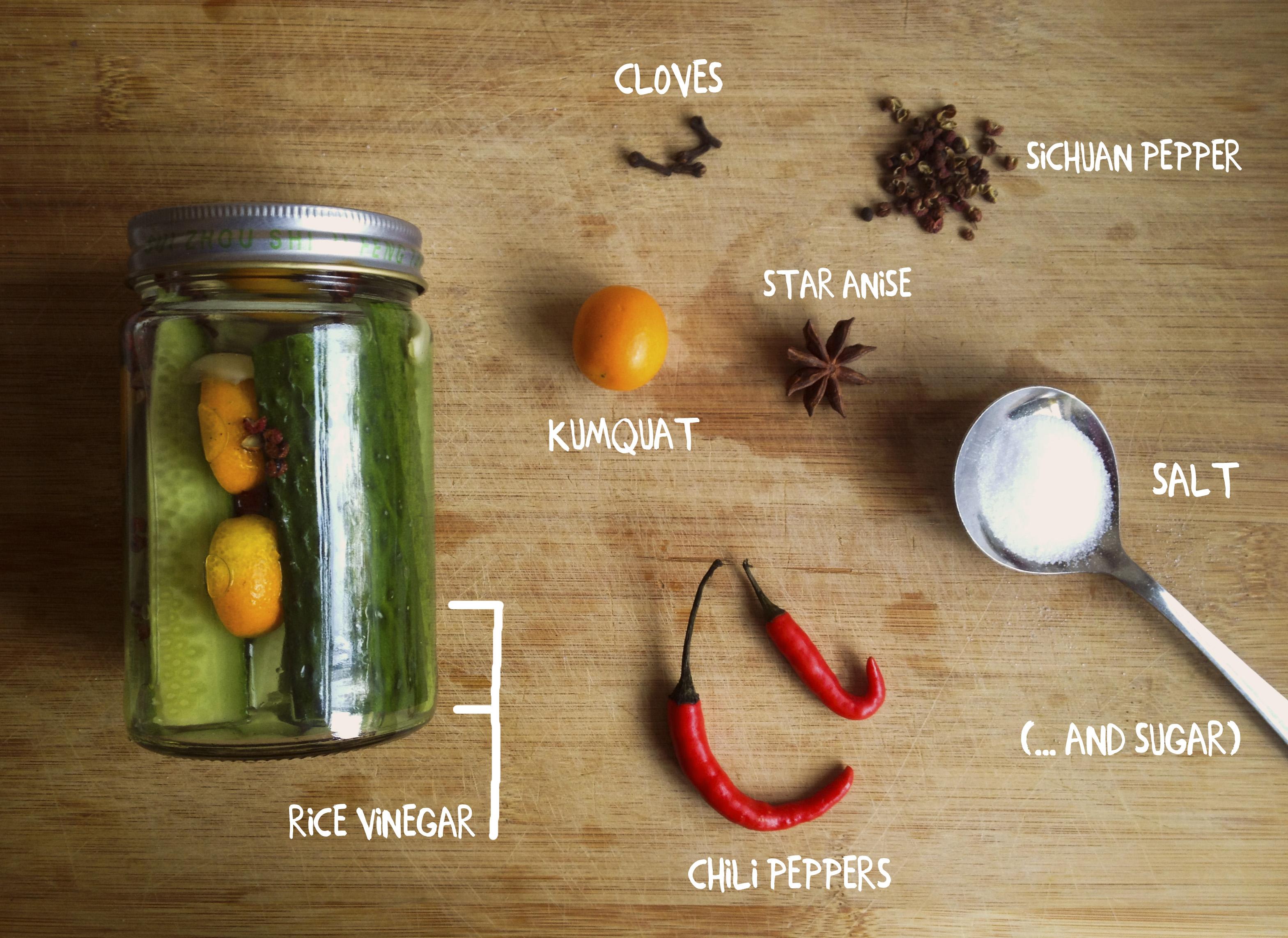 Sinicized Pickles - image 1 - student project