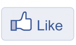 Leyna Chiang - Anatomy of a Facebook Like