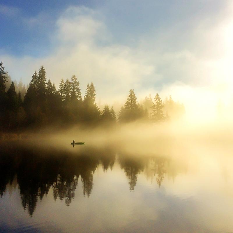 Morning Stillness - image 1 - student project