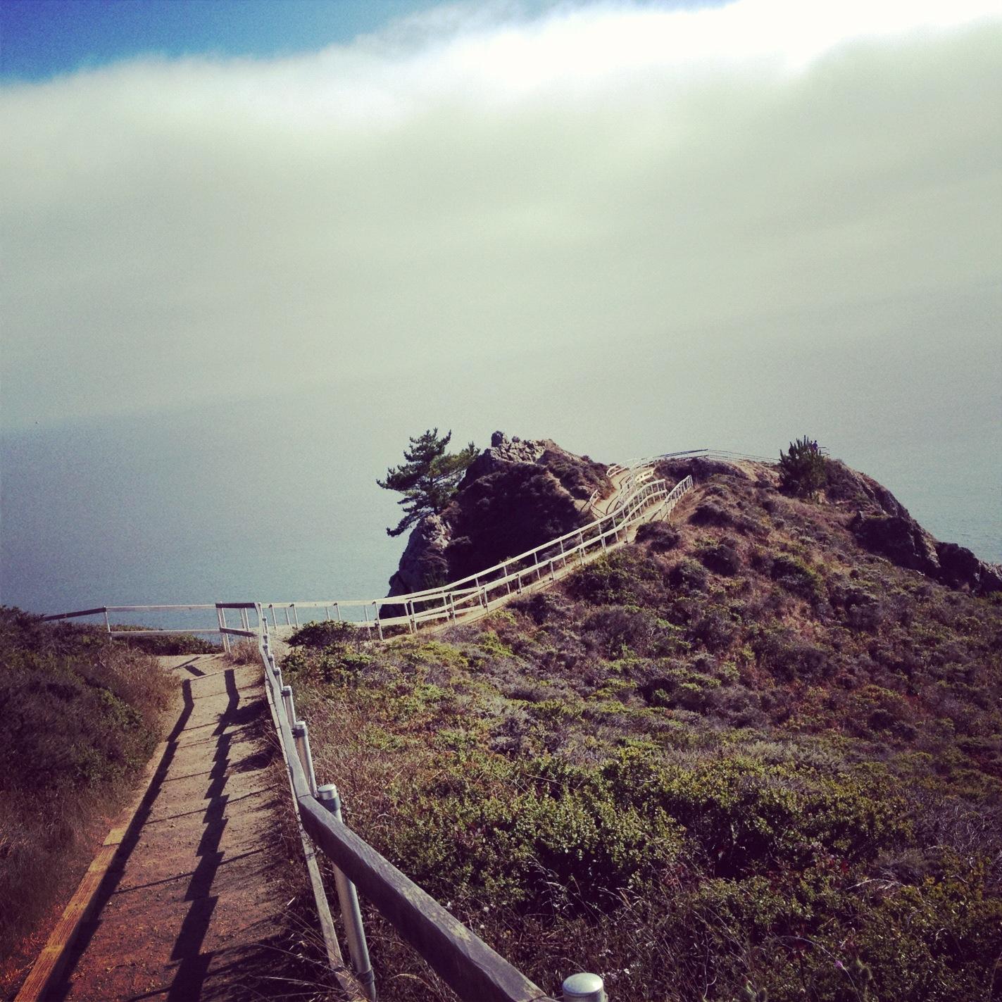 California Dreamin' - image 3 - student project