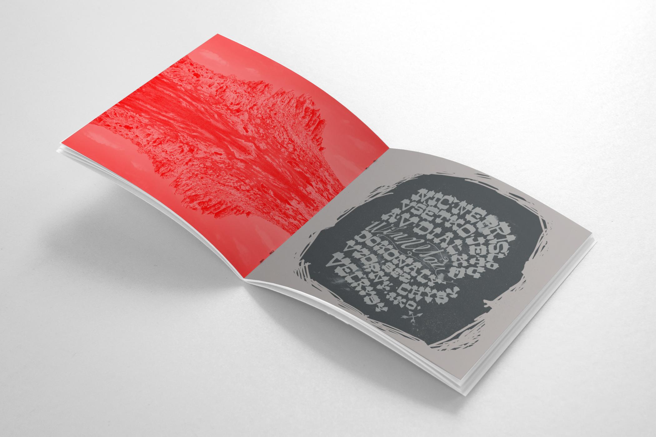LP sized booklet for musician - image 1 - student project