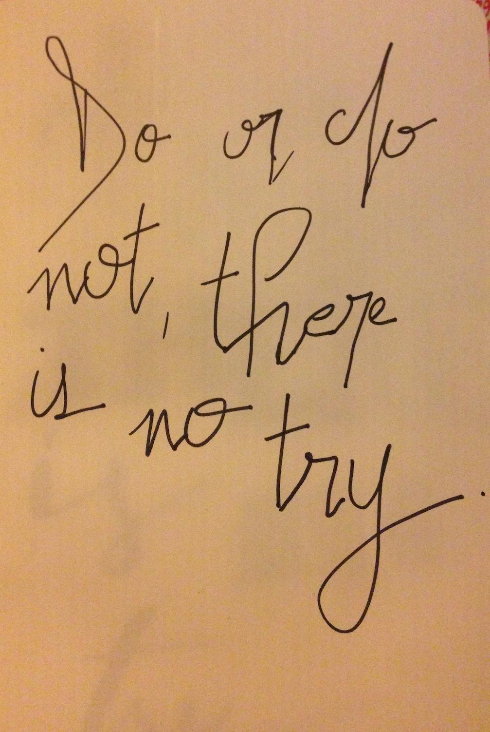 Do or do not, there is no try. - image 14 - student project