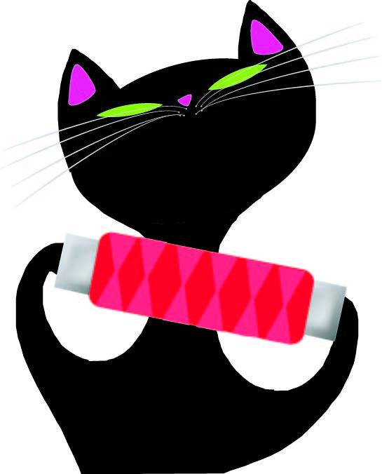 Zwicky Cat - image 1 - student project