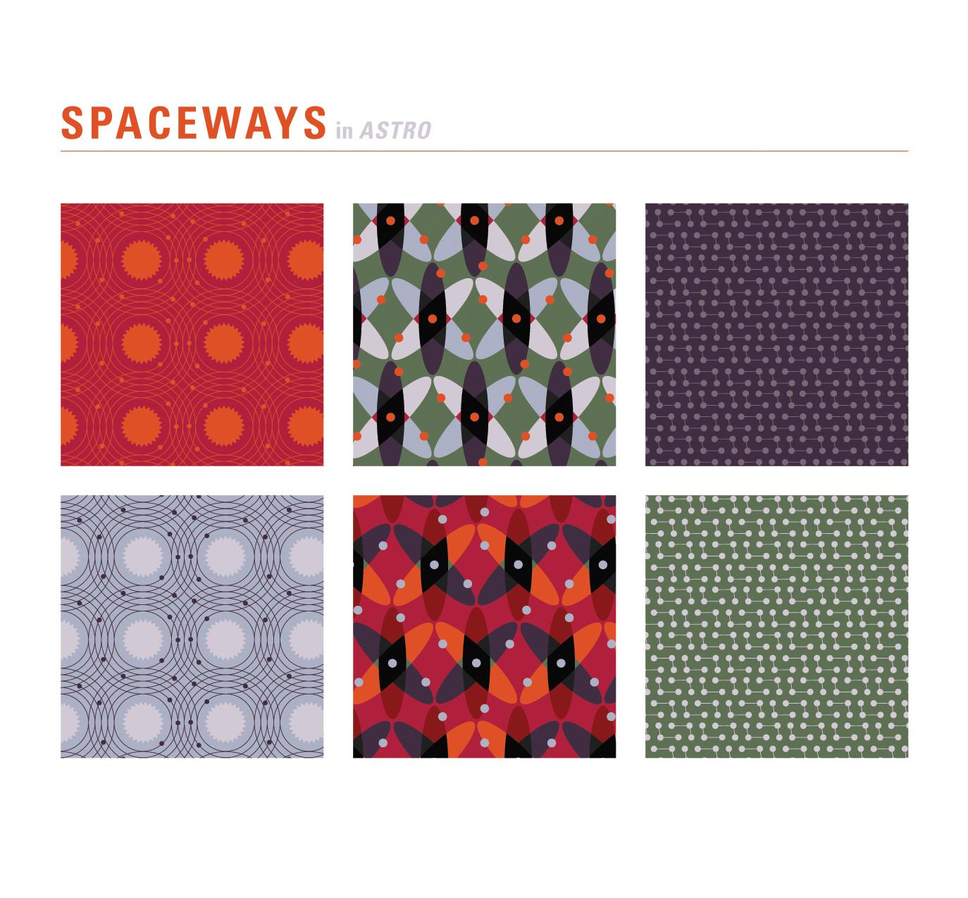 S P A C E W A Y S - image 1 - student project