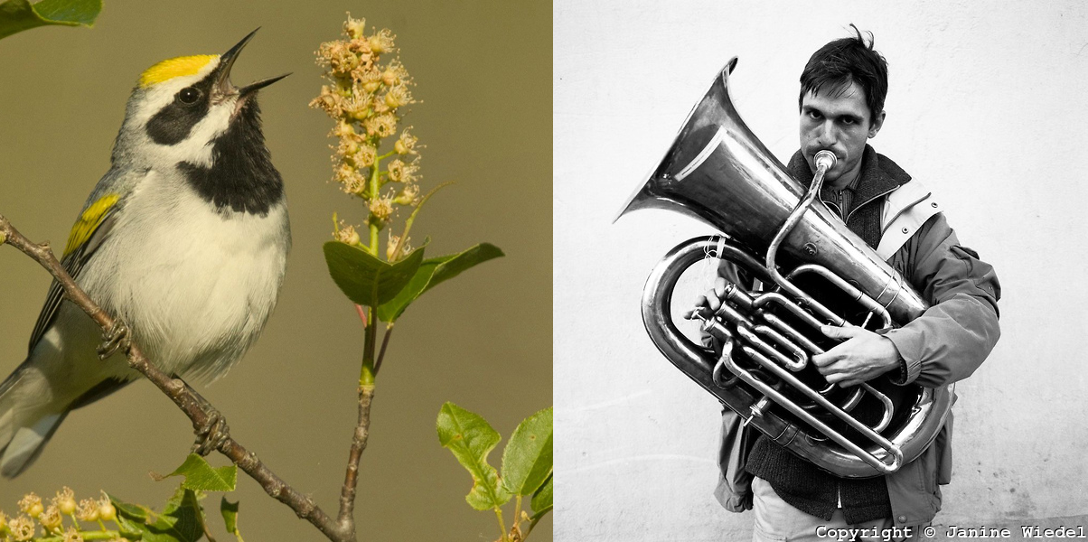 Springtime Solo - image 1 - student project