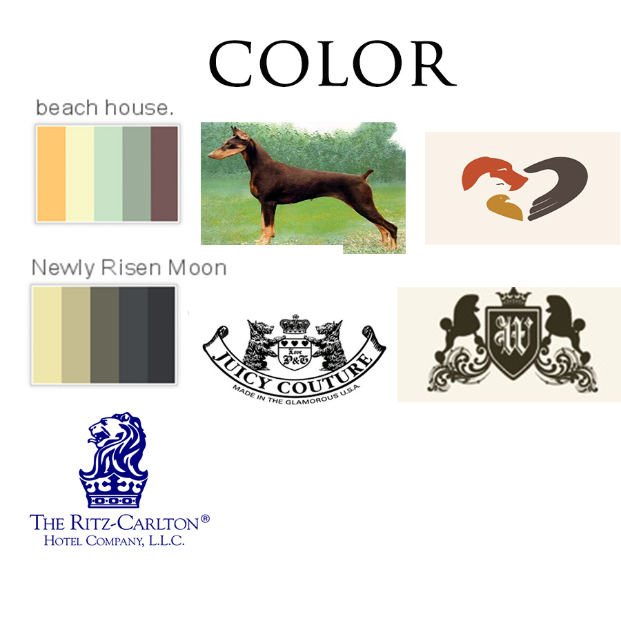 Emi Pet Salon & Boutique - image 2 - student project
