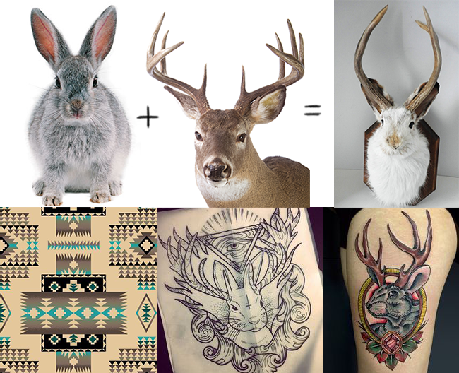 Jackalope - image 1 - student project
