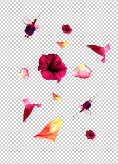 Summer Garden Inspired Digital Collage - image 5 - student project