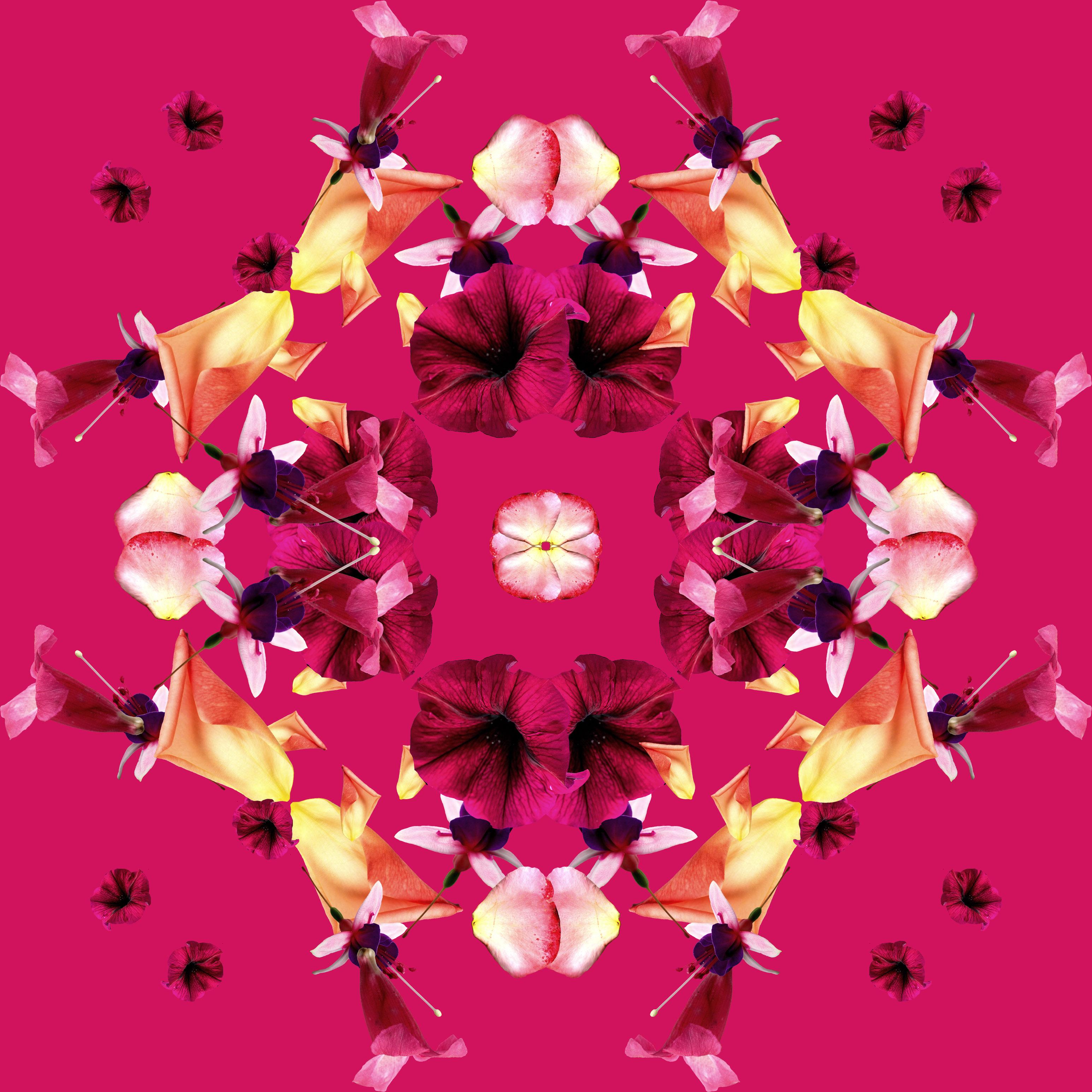 Summer Garden Inspired Digital Collage - image 8 - student project
