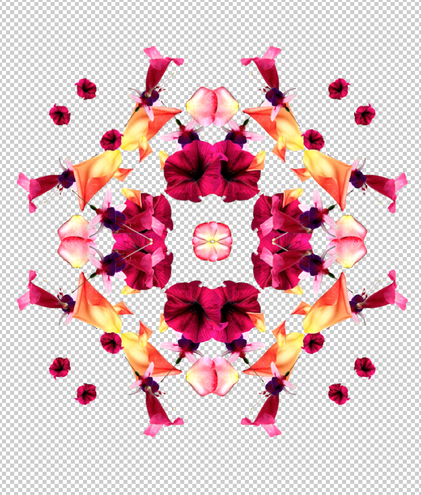 Summer Garden Inspired Digital Collage - image 7 - student project