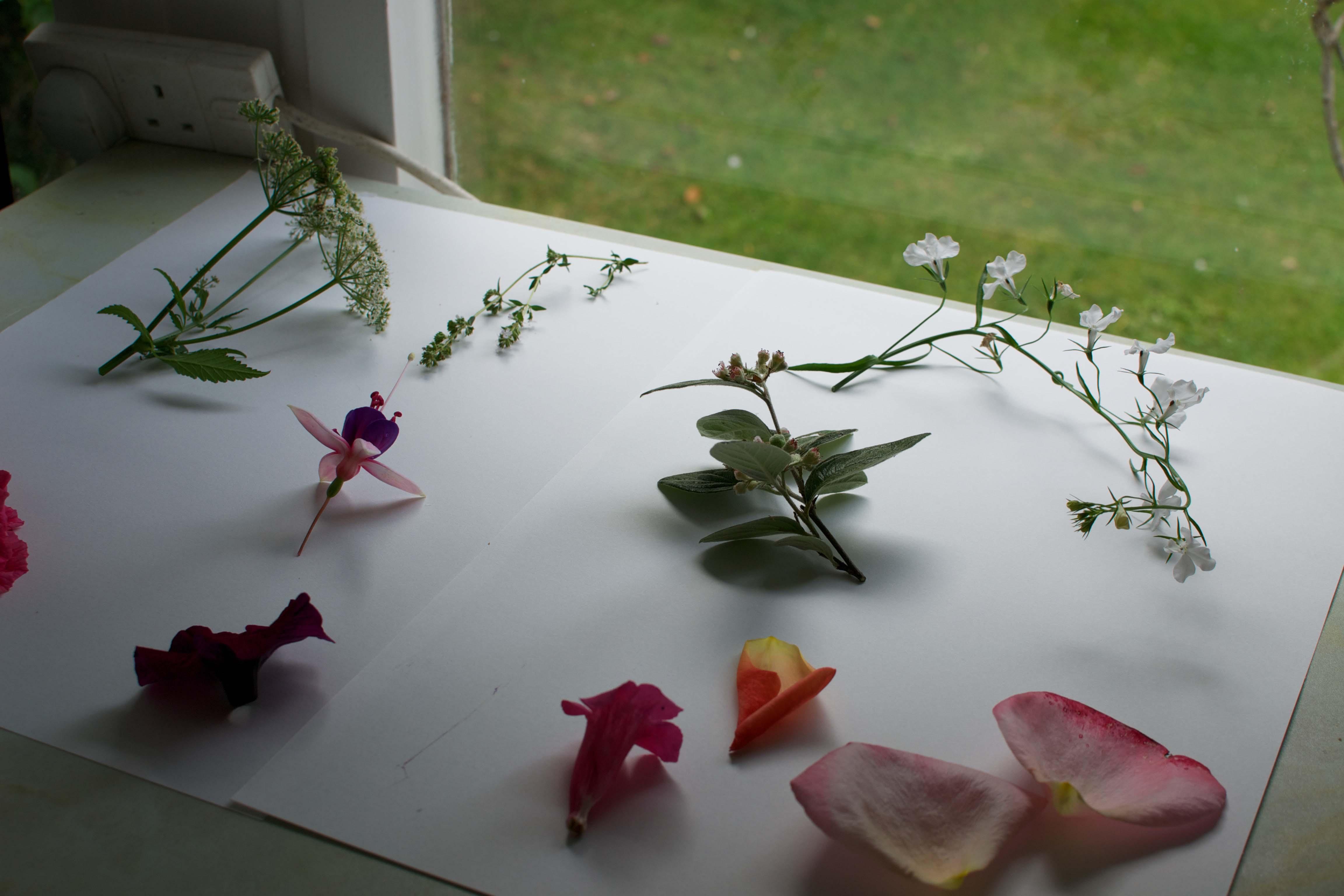 Summer Garden Inspired Digital Collage - image 1 - student project