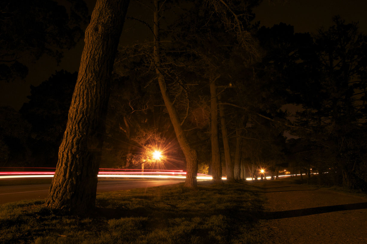 Hoa's Night Photos - image 2 - student project