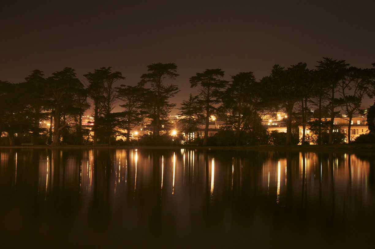 Hoa's Night Photos - image 1 - student project