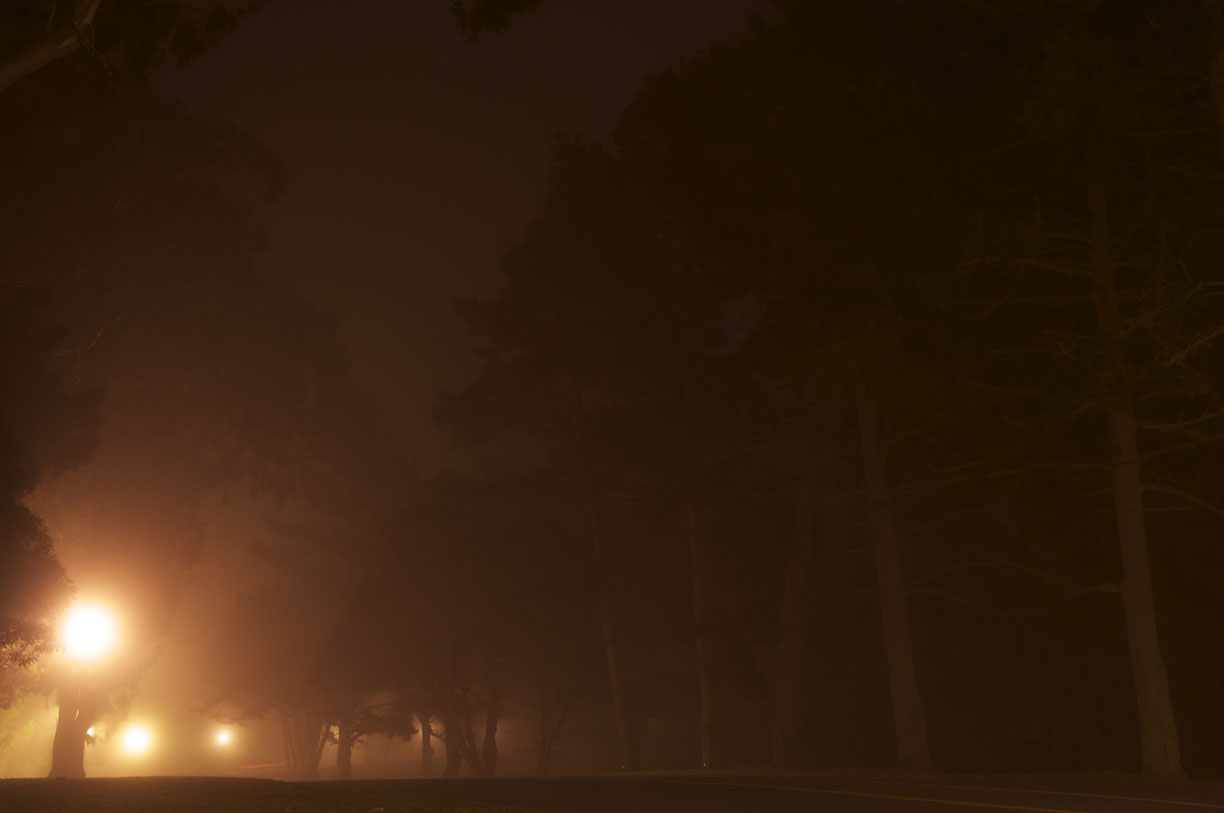 Hoa's Night Photos - image 4 - student project