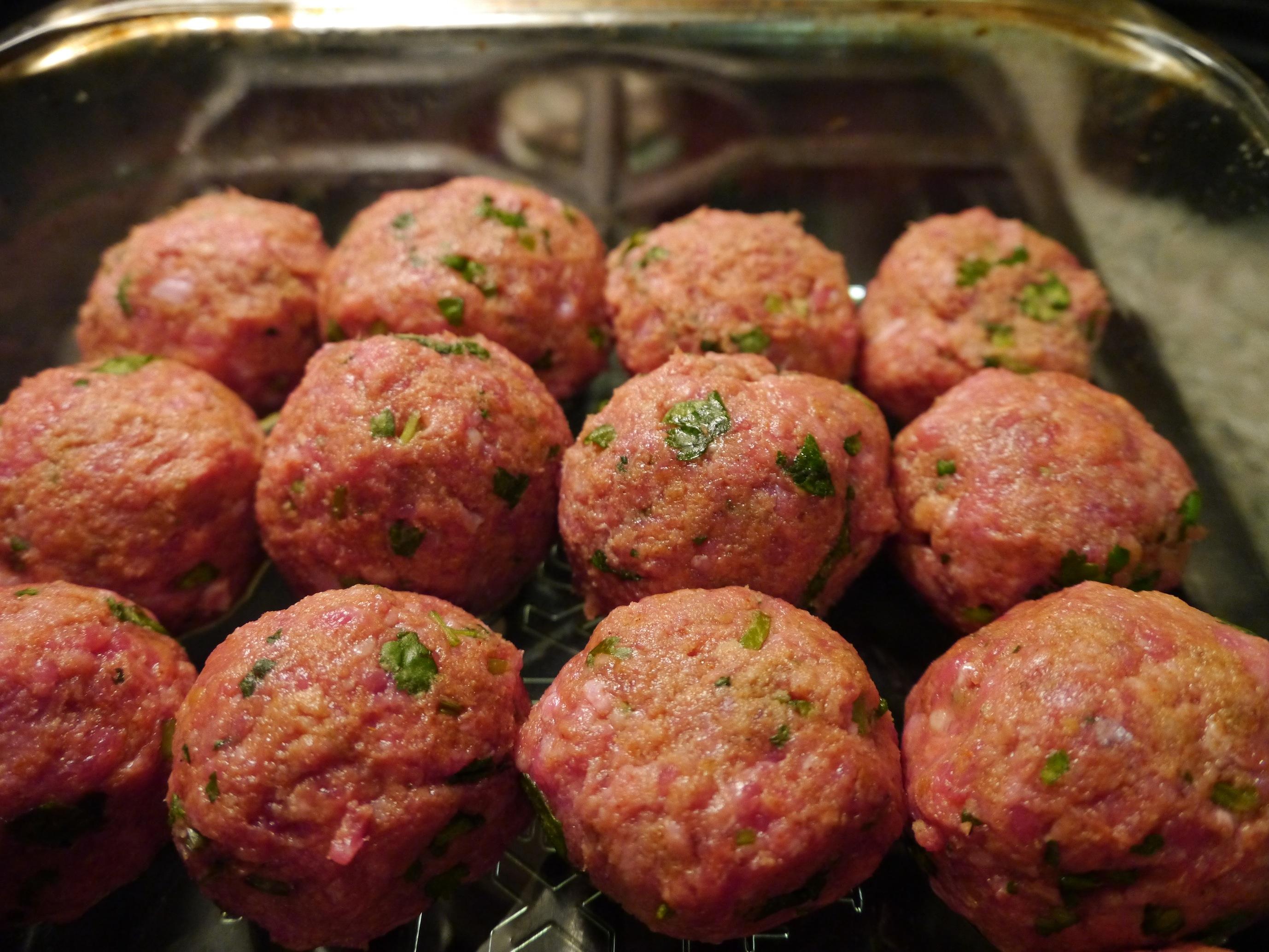 Tandoori Lamb Balls - image 3 - student project