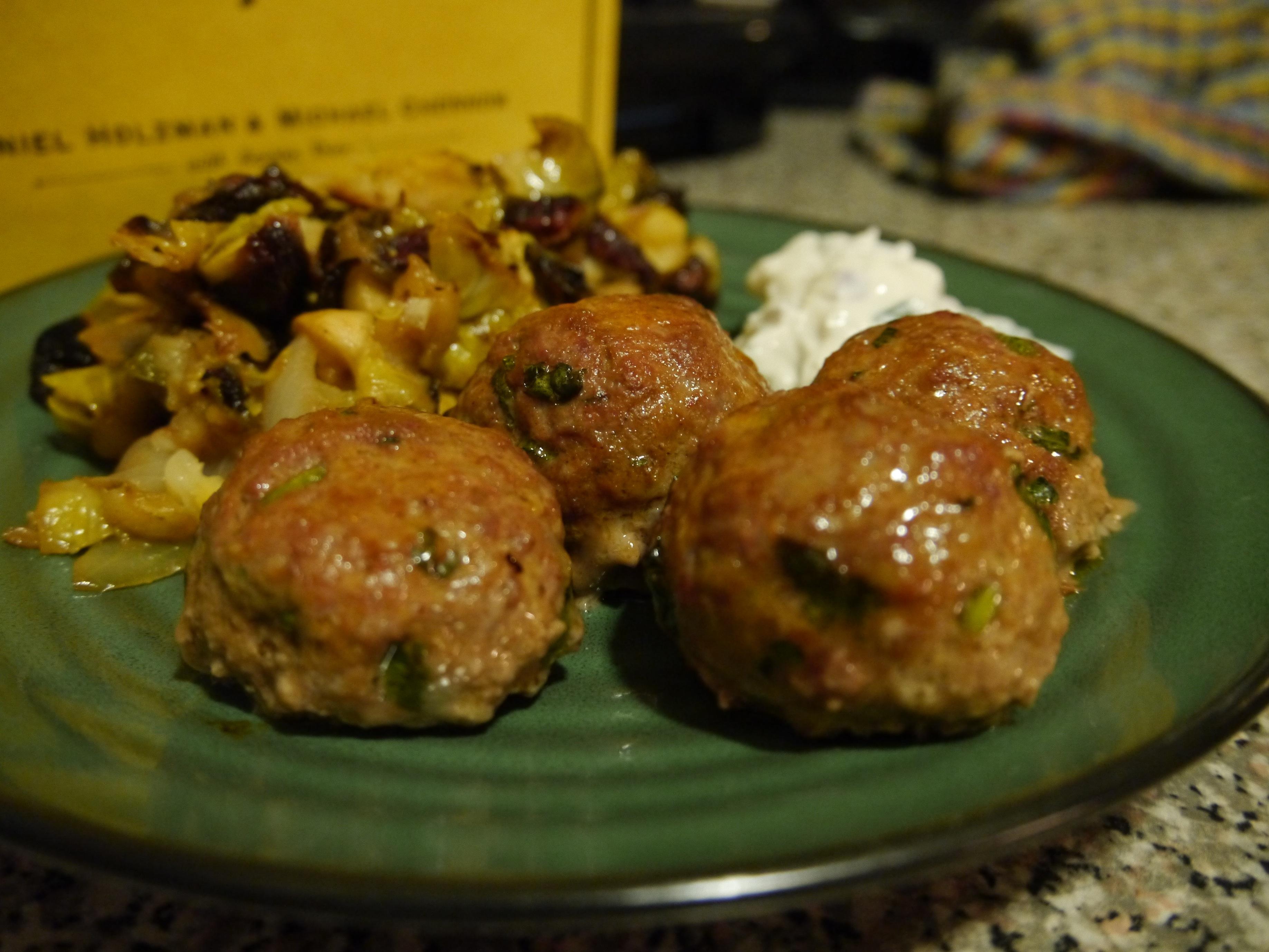 Tandoori Lamb Balls - image 4 - student project