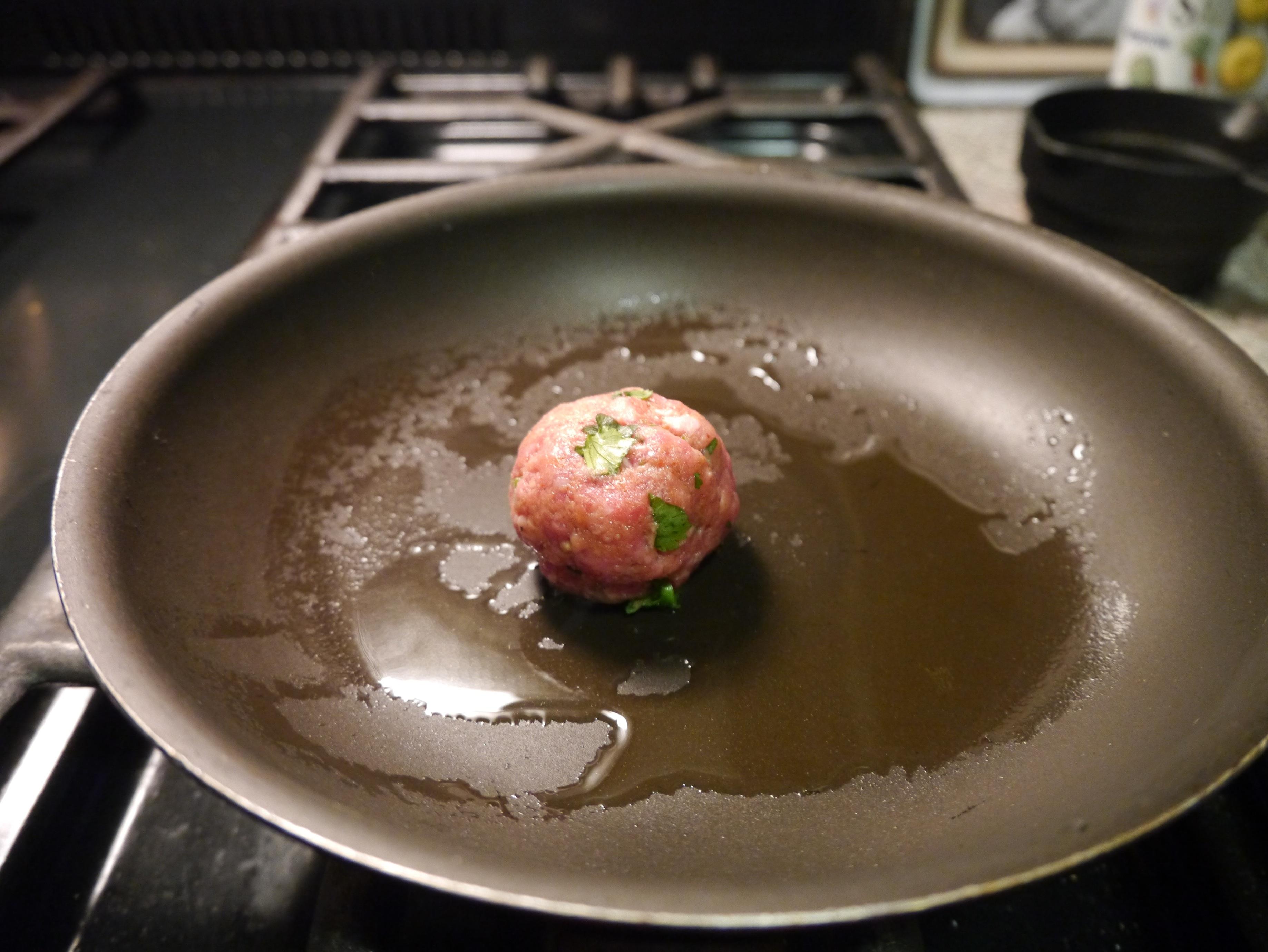 Tandoori Lamb Balls - image 2 - student project
